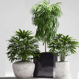 C4D模型 绿色植物