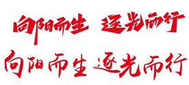 向阳而生 逐光而行