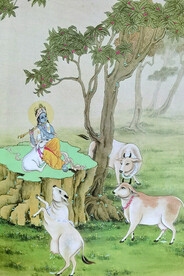 奎师那
