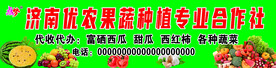 合作社