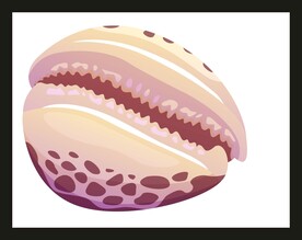 手绘海星海螺 