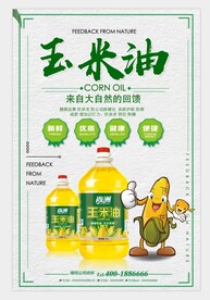 玉米海报