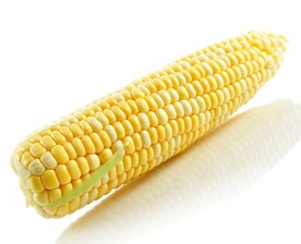 玉米
