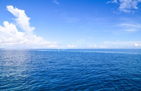大海