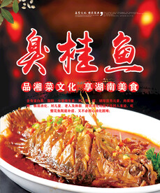 臭桂鱼海报
