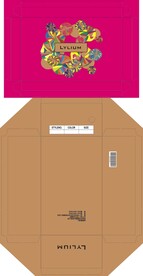 鞋盒