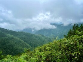 大巴山