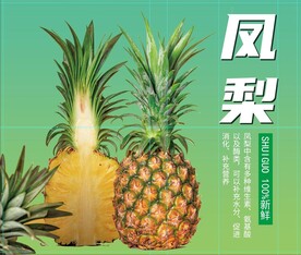 凤梨