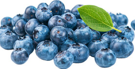 高清蓝莓免抠图素材