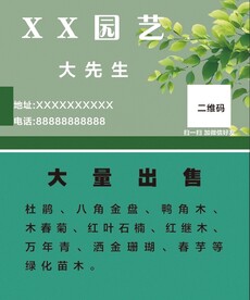 园艺花卉盆景名片