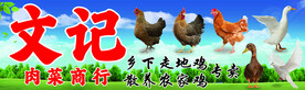 走地鸡