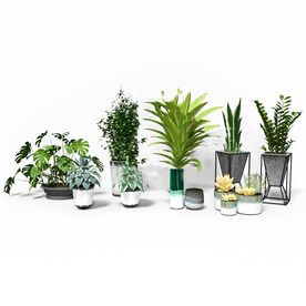 C4D模型 绿色植物 