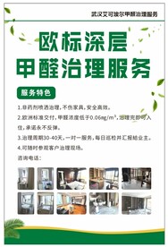 甲醛治理服务宣传海报