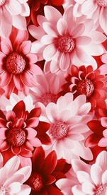 3D花