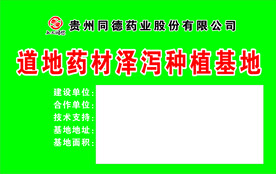 道地药材泽泻种植基地