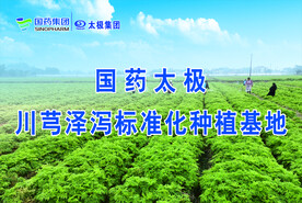 川芎泽泻标准化种植基地