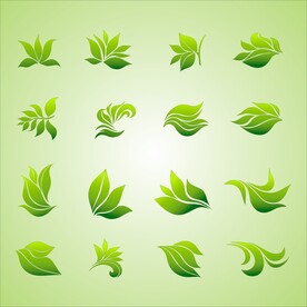 矢量叶子