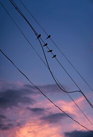日落