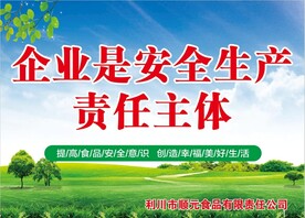 企业是安全生产责任主体