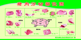 猪肉分切部位图