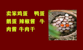 笨鸡蛋名片正面