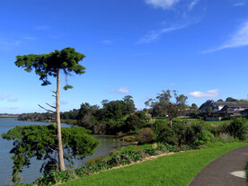 奥克兰海边小镇风景