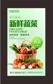 蔬菜海报