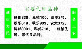 种子名片