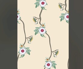 藤曼花
