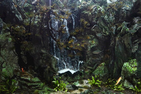 鱼缸里的溪流瀑布