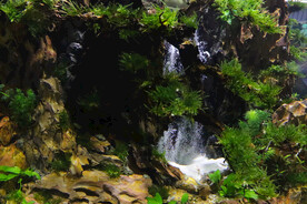 鱼缸造景