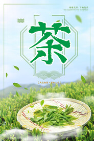 茶叶海报