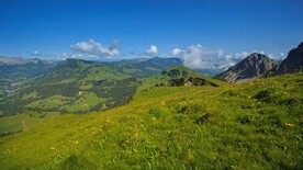 大山风景