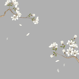 玉兰花素材