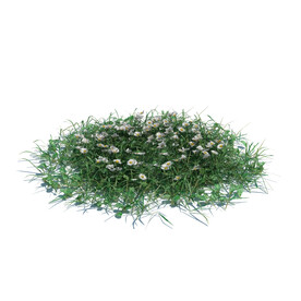 C4D模型 绿色植物