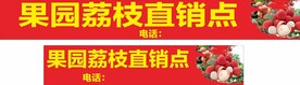 果园荔枝横幅
