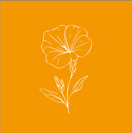牵牛花