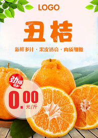 丑桔 A4 价格牌 促销