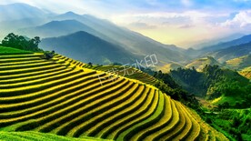 梯田