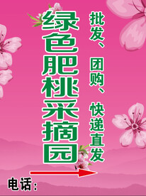 肥桃采摘园