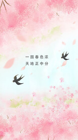 花开