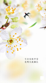 春暖花开