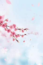 花开