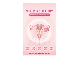 女性盆底肌