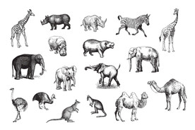 风格野生动物插画矢量 