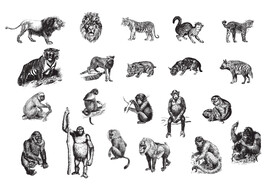 风格野生动物插画矢量 