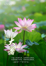 二十四节气 大暑