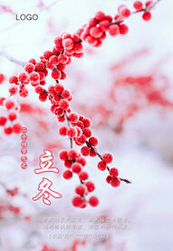 二十四节气 立冬