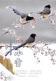 二十四节气 小雪