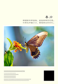 二十四节气 春分